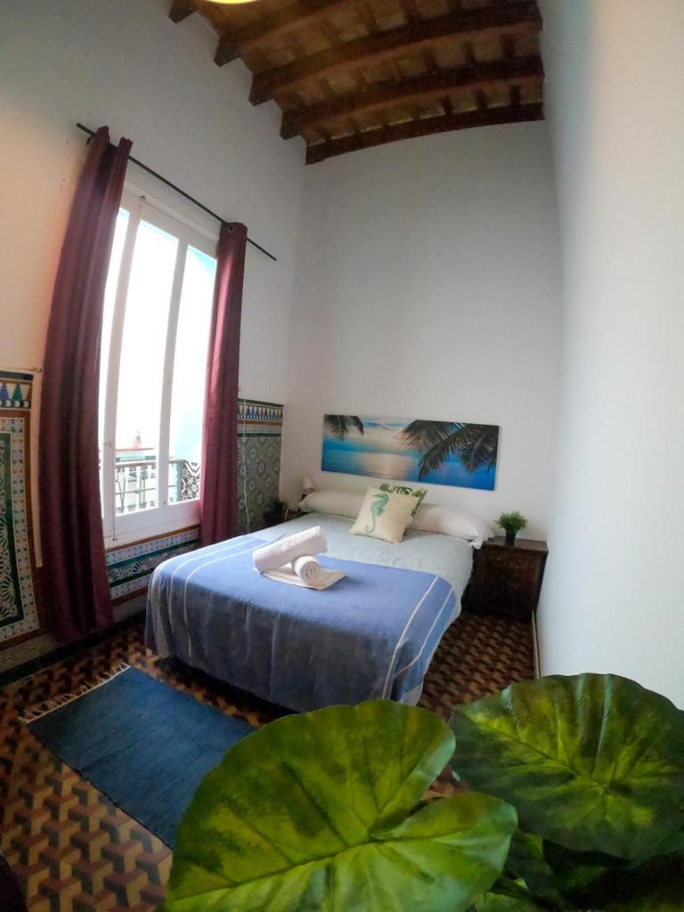 Guest house Lion By Kitesurf